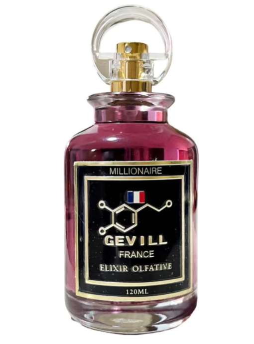 GEVILL FRANCE MILLONAIRE